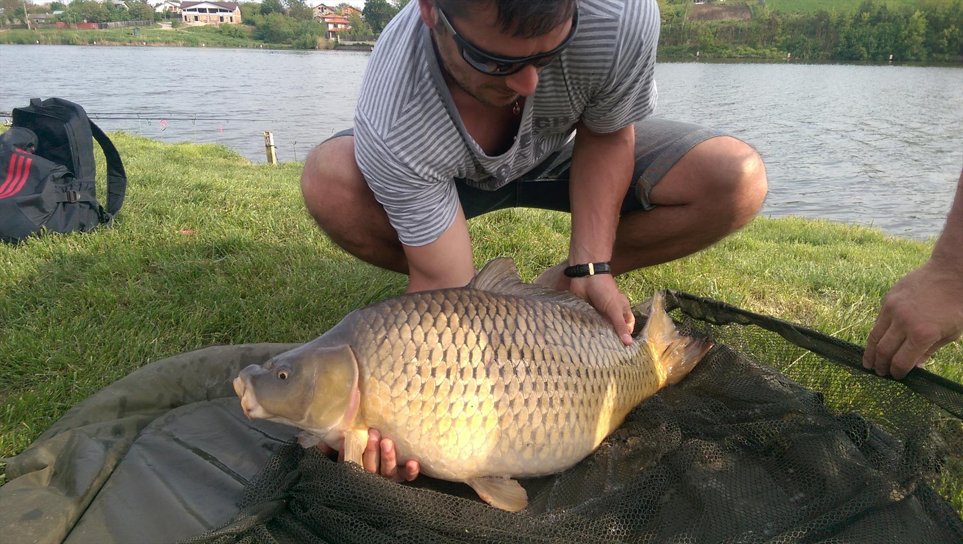o zi frumoasa pe moara  - imag1961.jpg